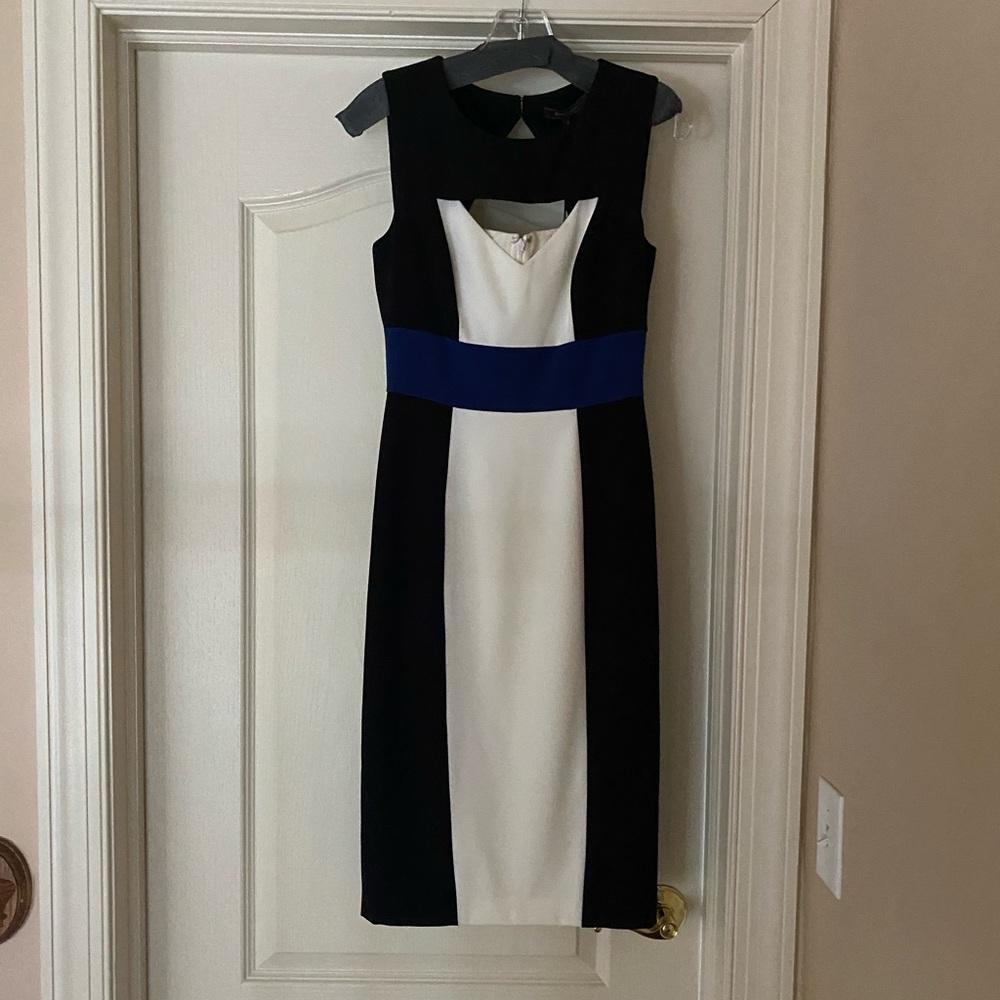 BCBG Midi Dress (Never Worn)